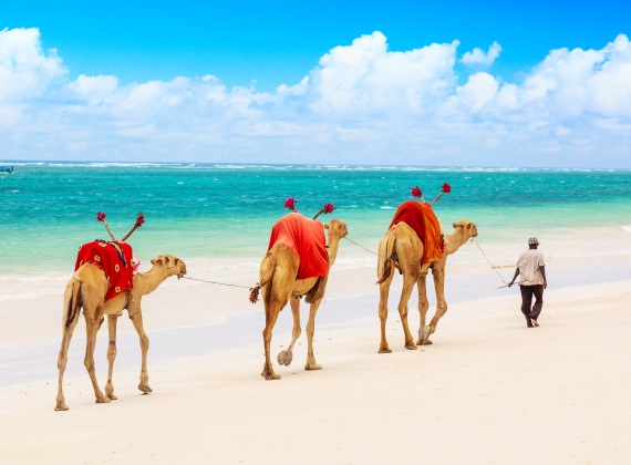 Mombasa Beach